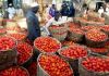 Nigeria : Des tomates pour lutter contre le chômage.