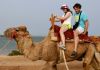 Tunisie va demander l’inscription de Djerba au patrimoine de l’UNESCO.