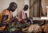 Soudan du Sud : Plus de 30.000 personnes risquent de mourir de faim. Soudan du Sud : Plus de 30.000 personnes risquent de mourir de faim.