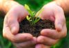 Maurice : Le gouvernement au chevet des petits agriculteurs. Maurice : Le gouvernement au chevet des petits agriculteurs.