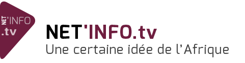 Logo Netinfo